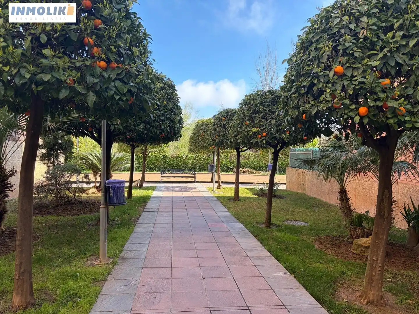 Piso con ascensor en venta en Calle INGENIERO JUAN A VIGUERAS, imagen 31