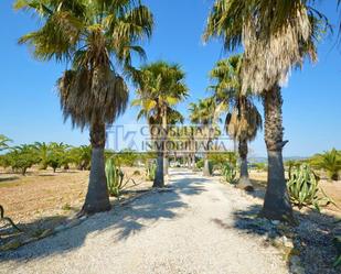 Vista exterior de Finca rústica en venda en Vinaròs amb Aire condicionat, Terrassa i Piscina