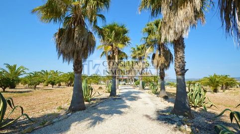 Finca en venta en Vinaròs con chalet y piscina.