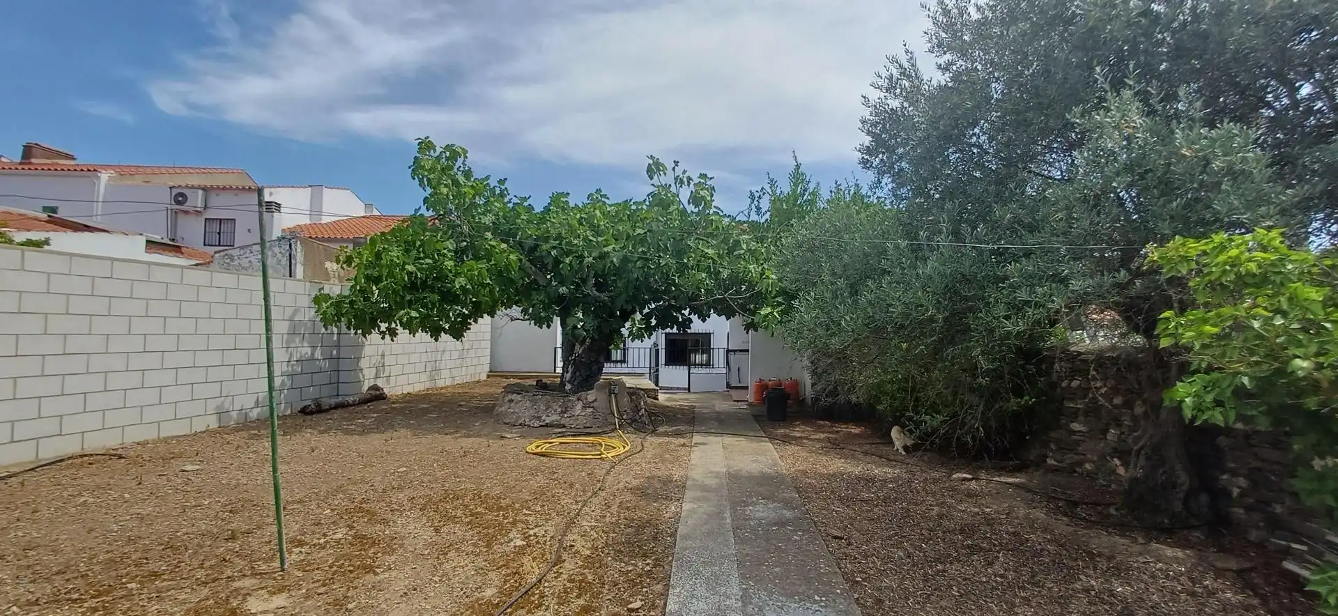 Jardí de Casa o xalet en venda en Cheles amb Terrassa, Traster i Balcó