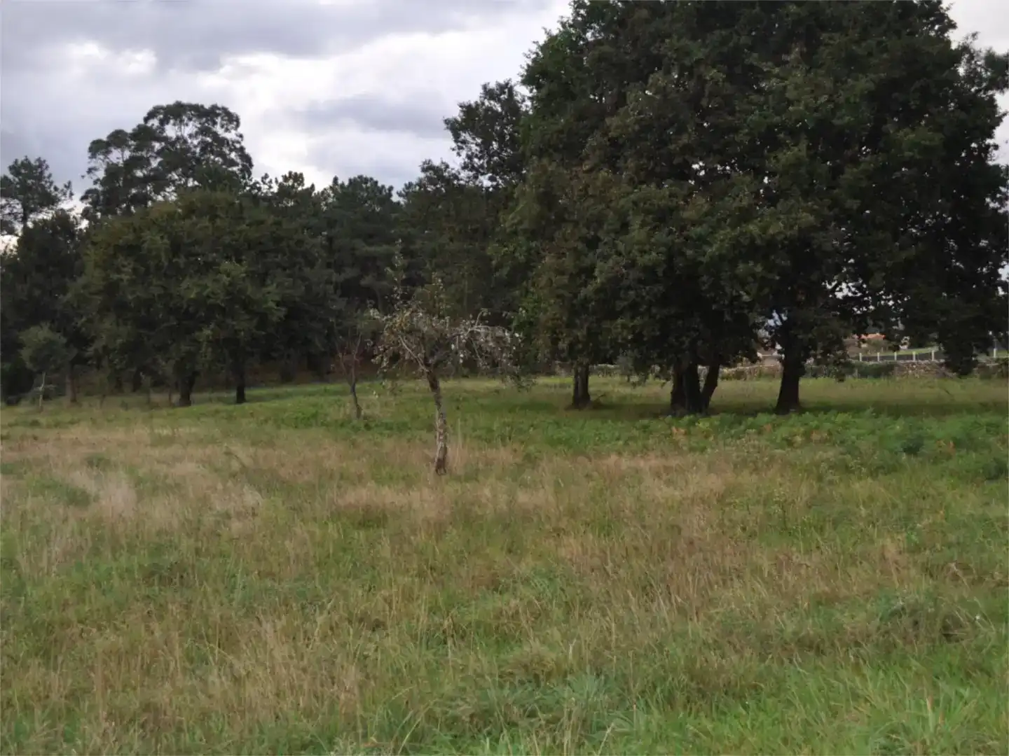 Grundstücke zum Verkauf in Vilagarcía de Arousa