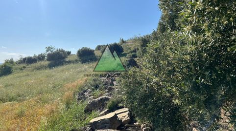 Parcela rústica agraria en Alcaucín de 16000 m2