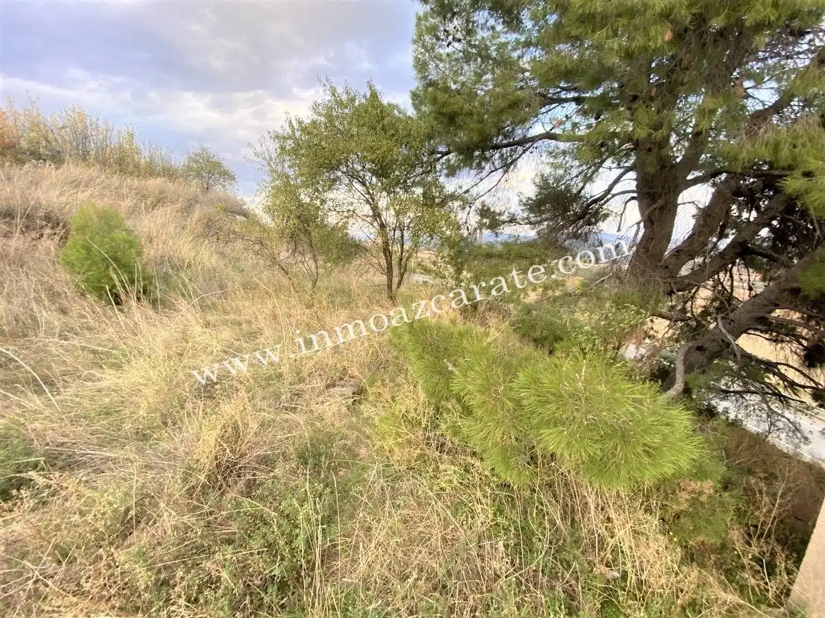 Residencial en venta en Morentin