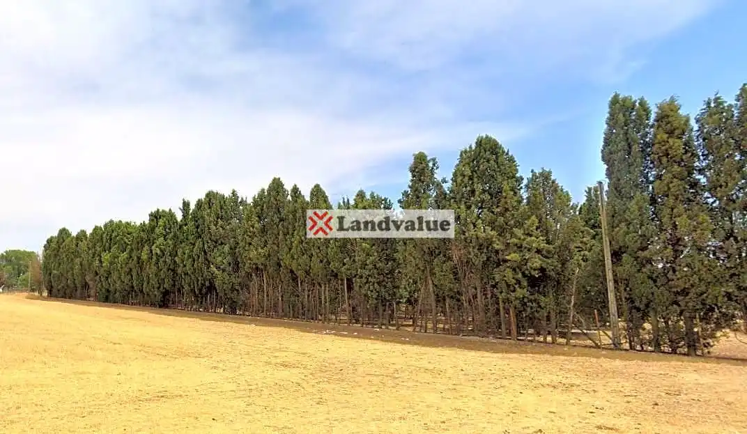 Rural land for sale in Polígono 3, Parcelas 25,27,28,33,34, imagen 3