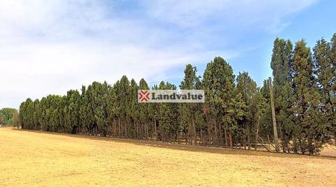 Foto 3 de Terreno en venta en Polígono 3, Parcelas 25,27,28,33,34, La Garena, Alcalá de Henares