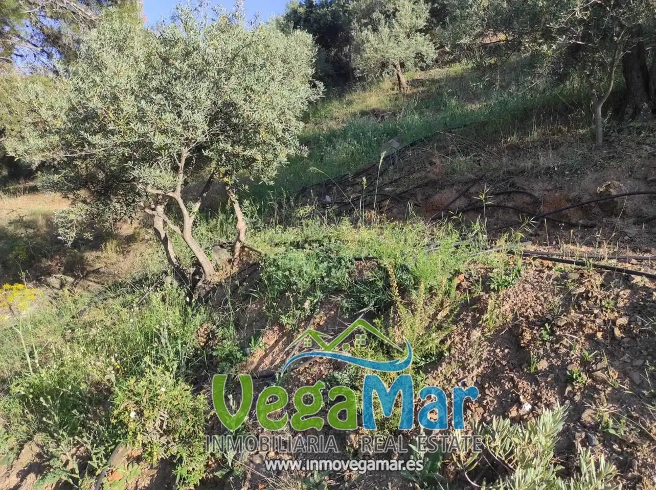 Terreno residencial en venta en El Rescate - Río Seco, imagen 5