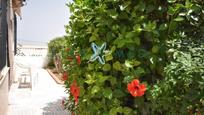 Jardí de Casa o xalet en venda en Cartagena amb Jardí privat i Terrassa