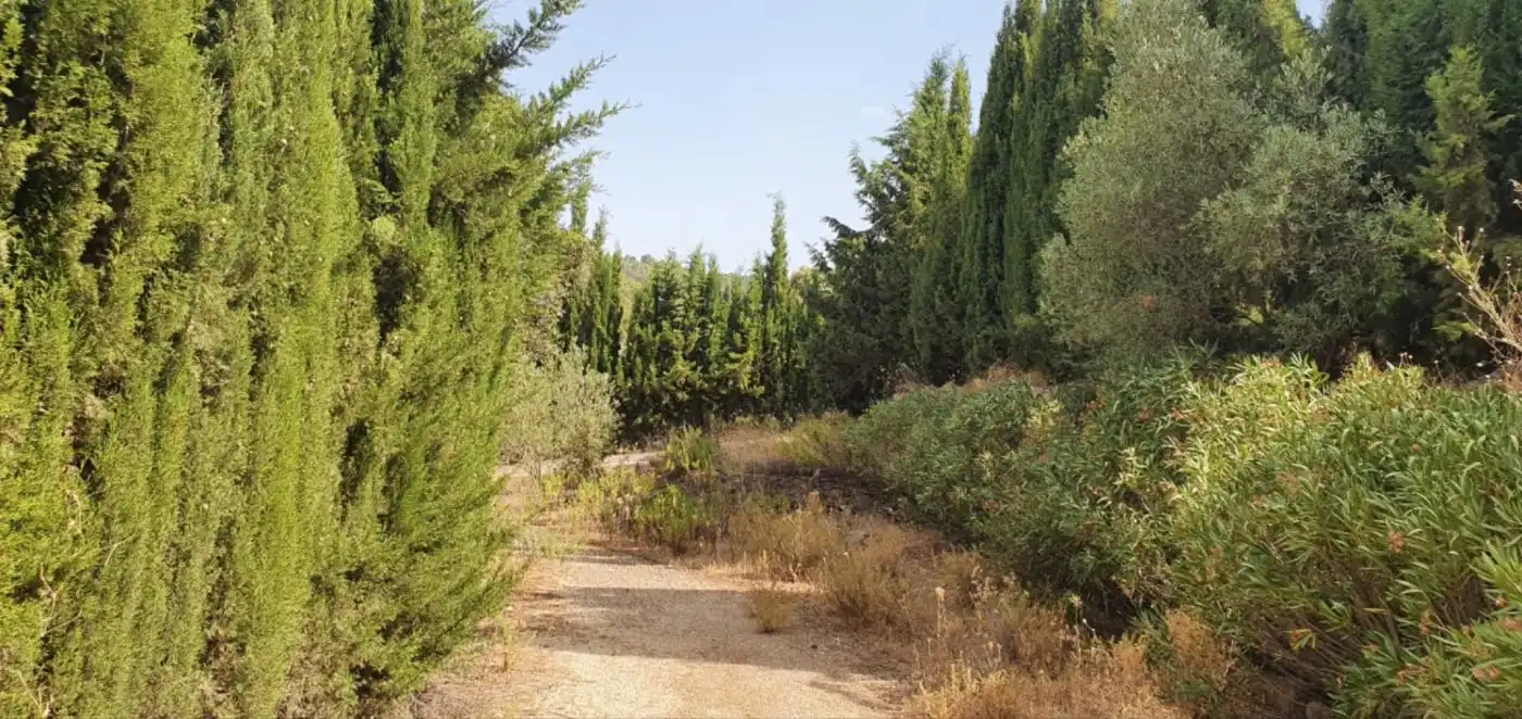 Terreni e lotti in vendita a Yunquera, imagen 17