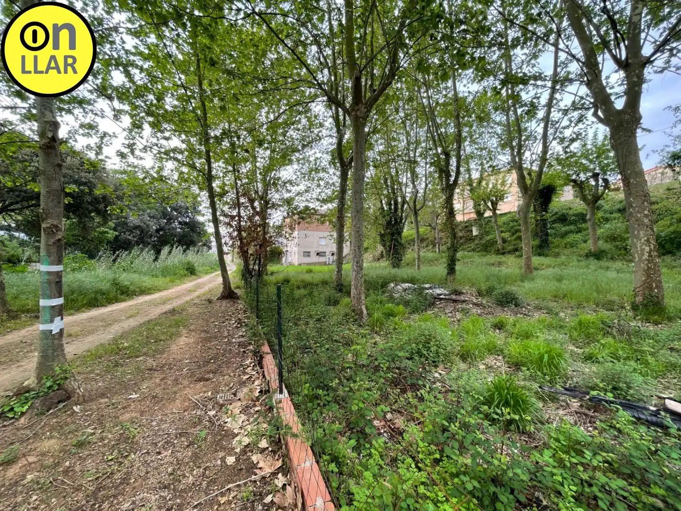 Residential land for sale in Calle Alzina, imagen 23