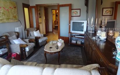 Living room of Flat for sale in Banyoles  with Air Conditioner, Terrace and Balcony