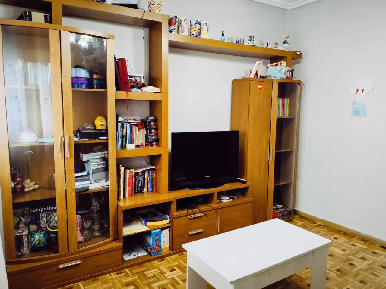 Sala d'estar de Pis en venda en Burgos amb Calefacció, Parquet i Terrassa