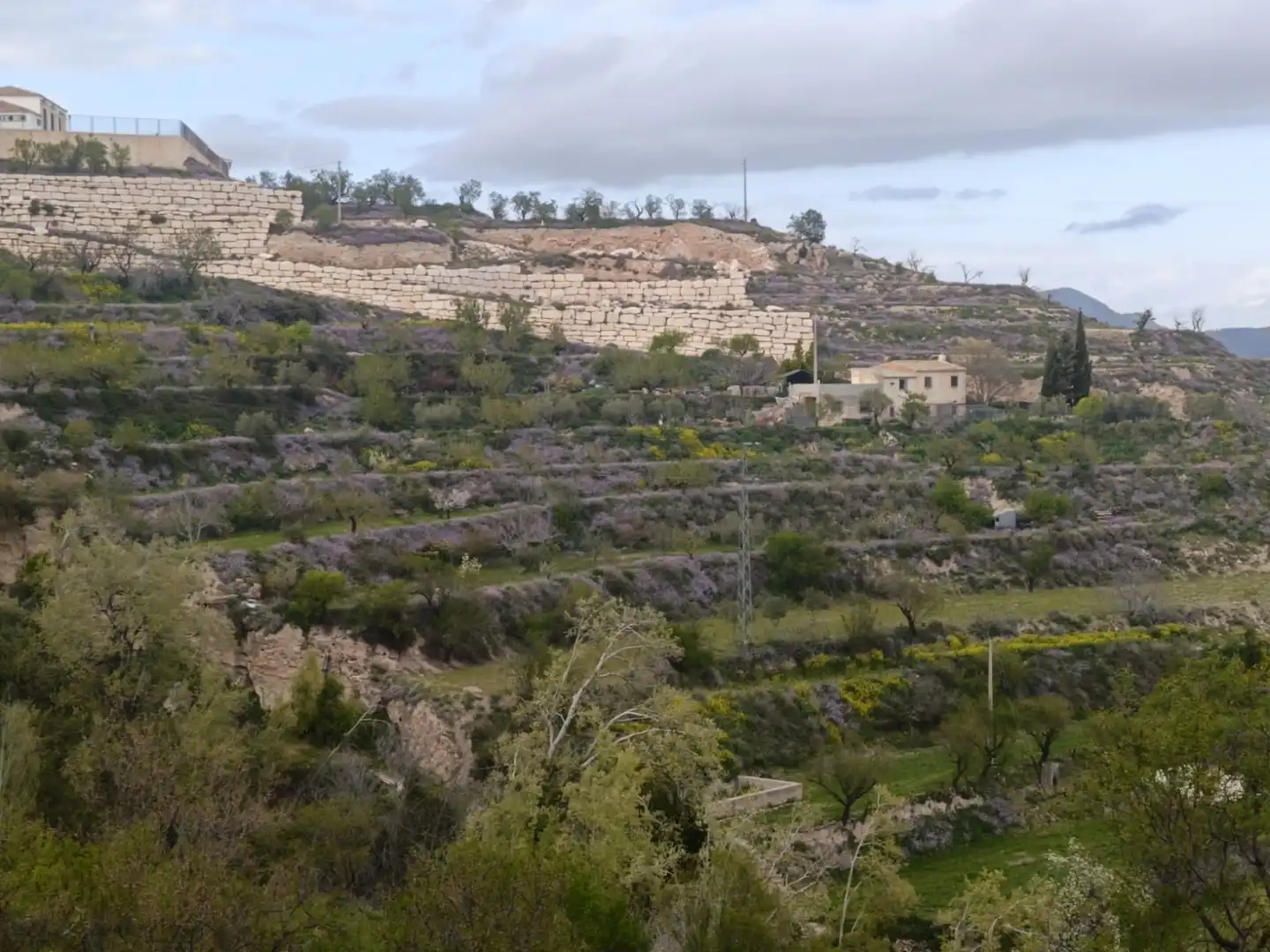 Landhaus mit Terrasse zur Miete in AL-9103 1, imagen 12