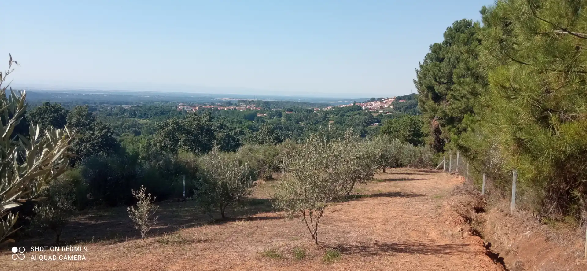 Terreno rustico in vendita a Candeleda, imagen 2