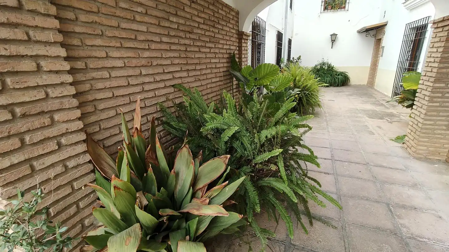 Garten von Erdgeschoss zur Miete in Córdoba mit Klimaanlage und Möbliert