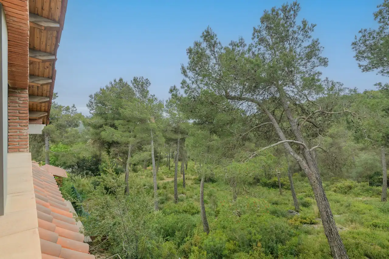 Jardín de Casa o chalet de alquiler en Begues con Aire acondicionado, Calefacción y Jardín privado