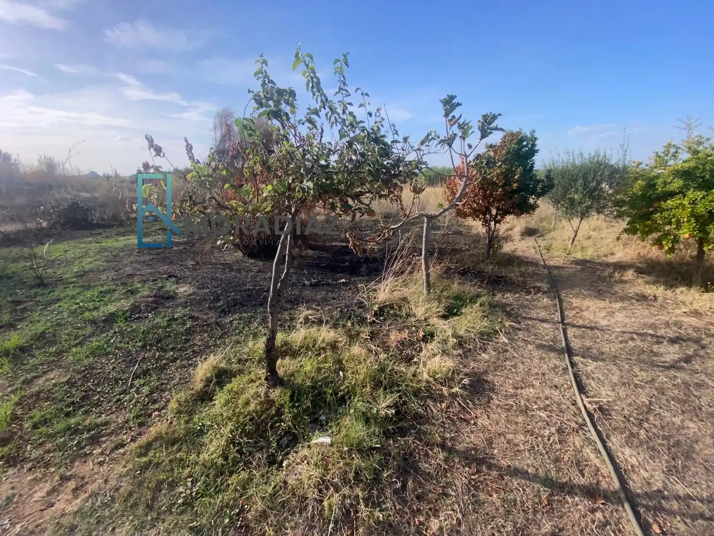 Casa o xalet en venda en Don Benito amb Jardí privat i Traster