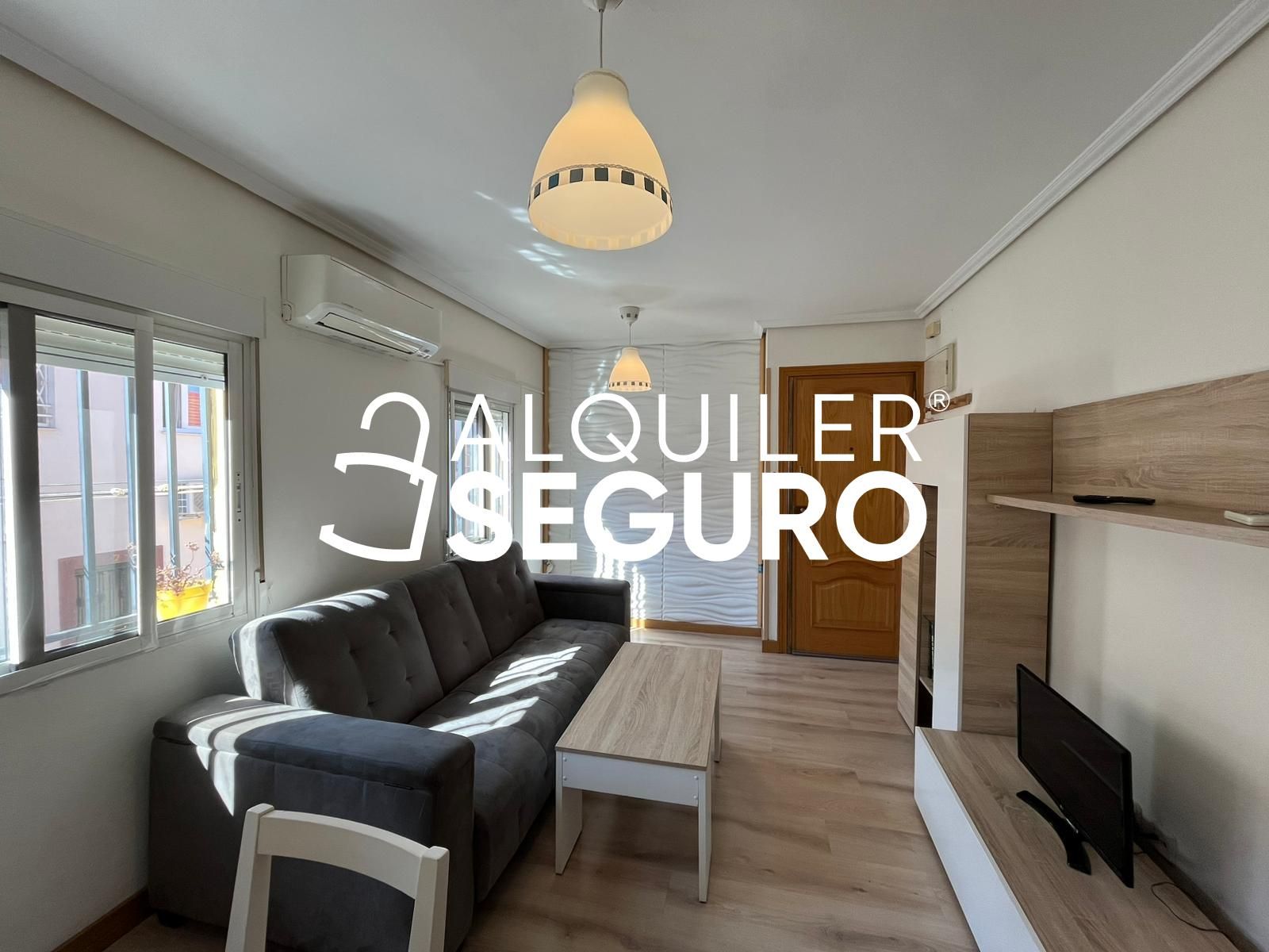 Living room of Flat to rent in  Madrid Capital  with Air Conditioner, Heating and Storage room