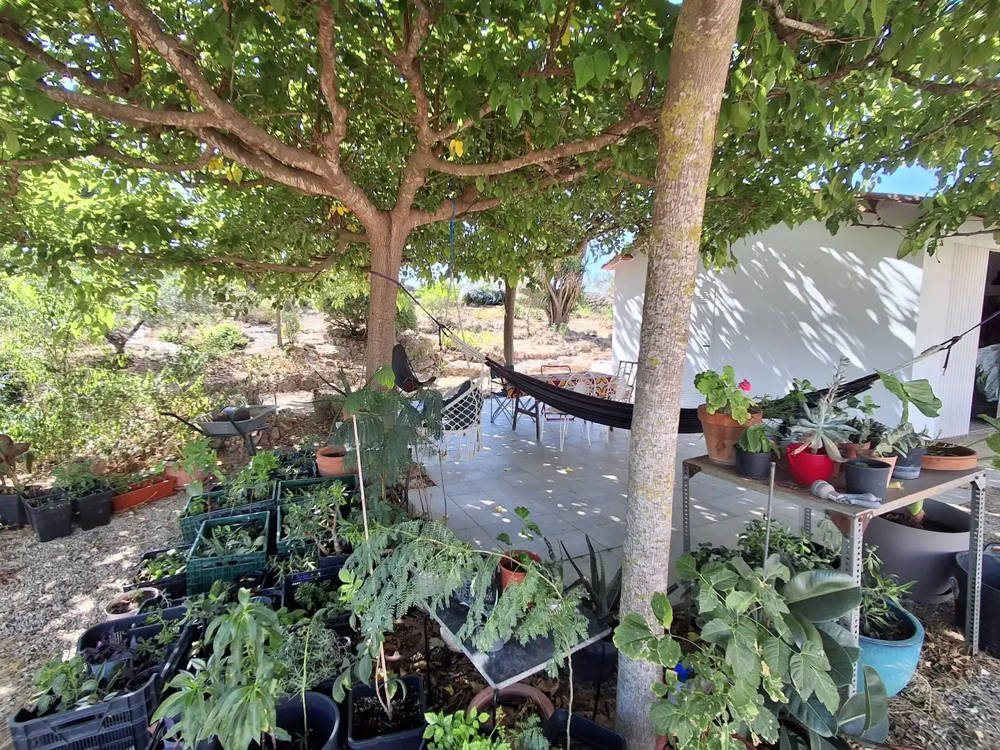 Garden of Houses for sale in Xerta