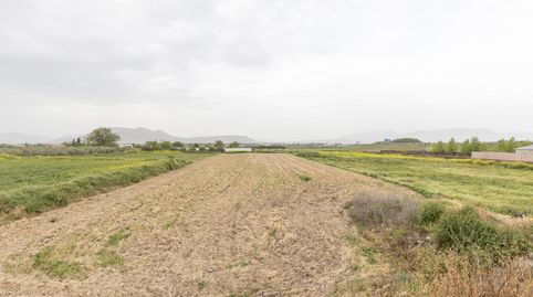 PARCELA RÚSTICA DE 3.500 M2 EN SANTA FE, immagine 5
