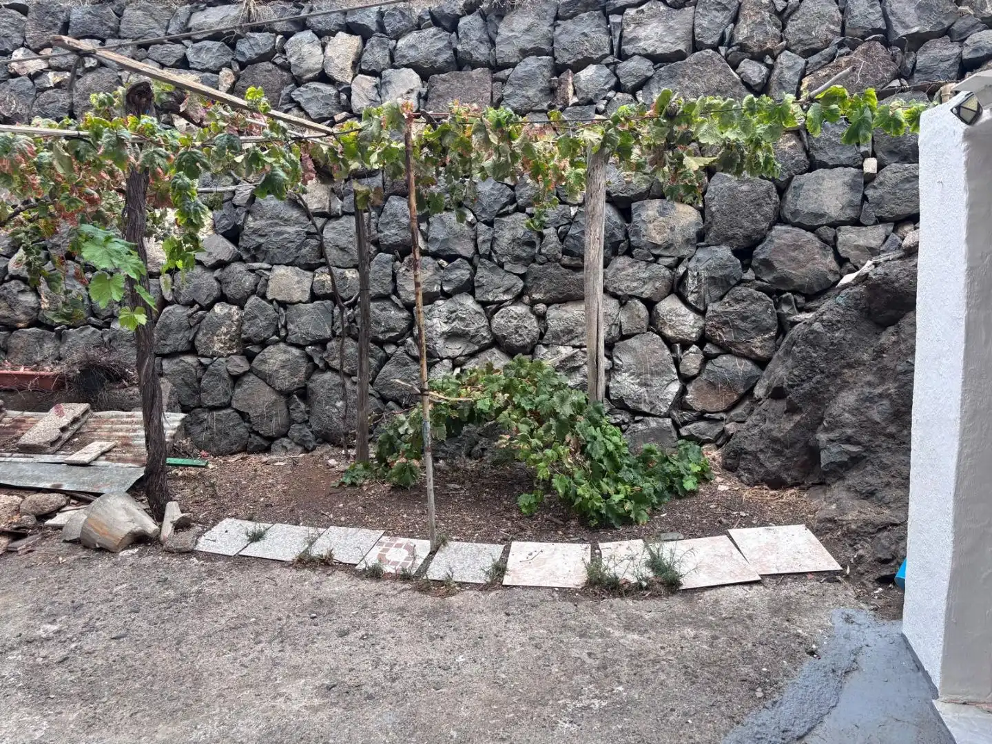 Jardín de Casa o chalet en venta en Candelaria