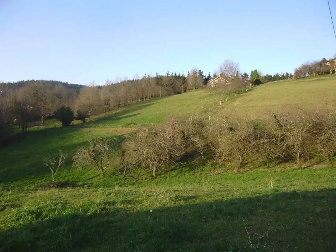 Maison avec terrasse à vendre à Amorebieta-Etxano, imagen 82