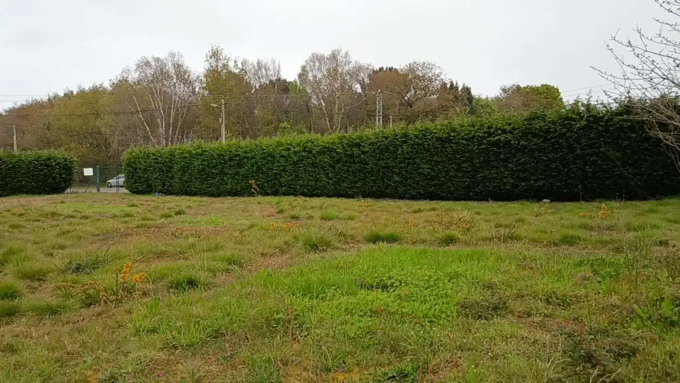 Lands and plots for sale in Pillarno, imagen 16
