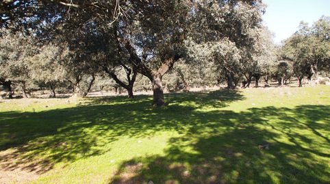 Foto 5 de Finca rústica en venda a Santa Olalla del Cala, Huelva