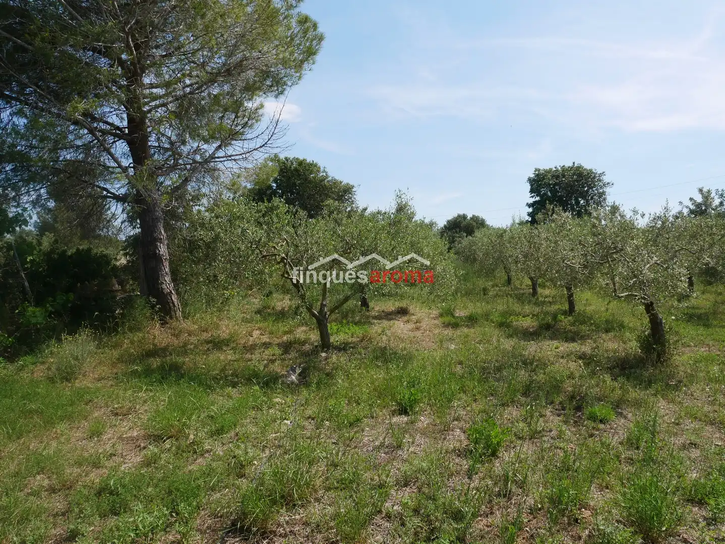 Casa o xalet en venda en Alió amb Aire condicionat, Calefacció i Jardí privat