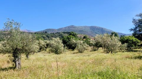Foto 4 de Terreno en venta en N/a, -1, Jarandilla de la Vera, Cáceres