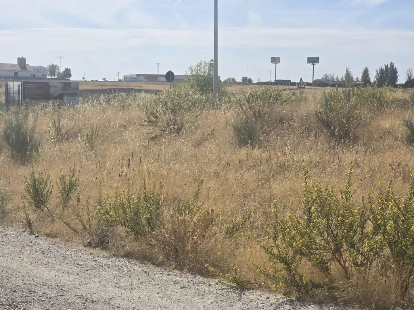 Terreny residencial en venda a La Dehesa - El Pinar, imagen 14