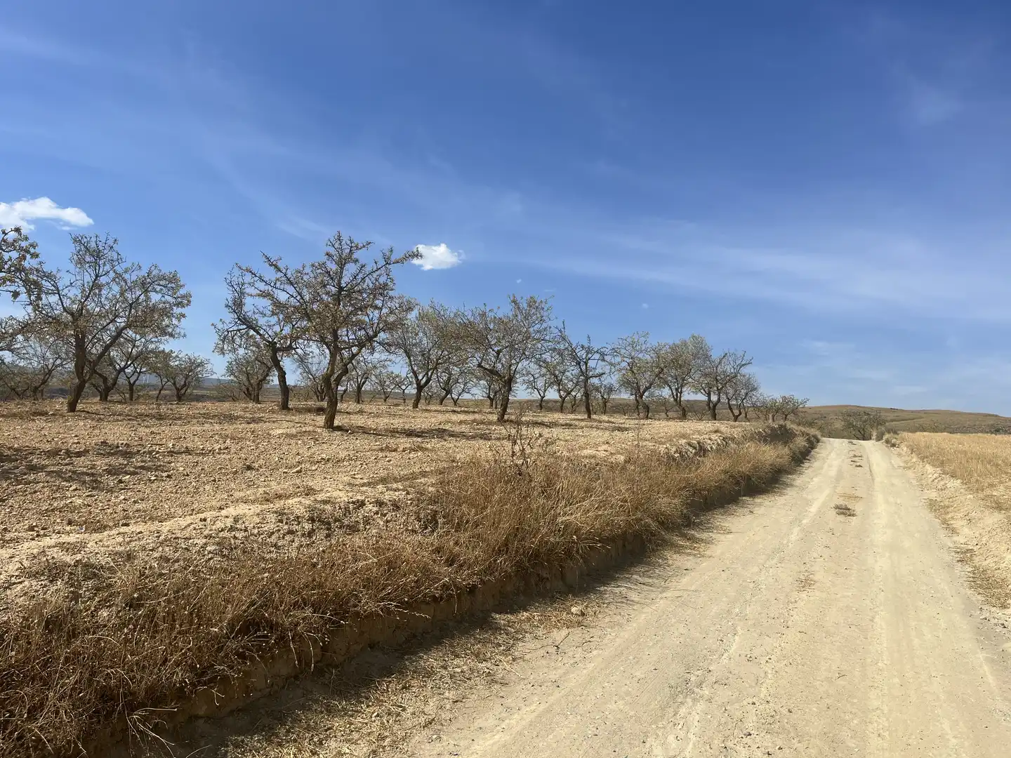 Rustikales Grundstück zum Verkauf in Avenida de Andalucía, imagen 12