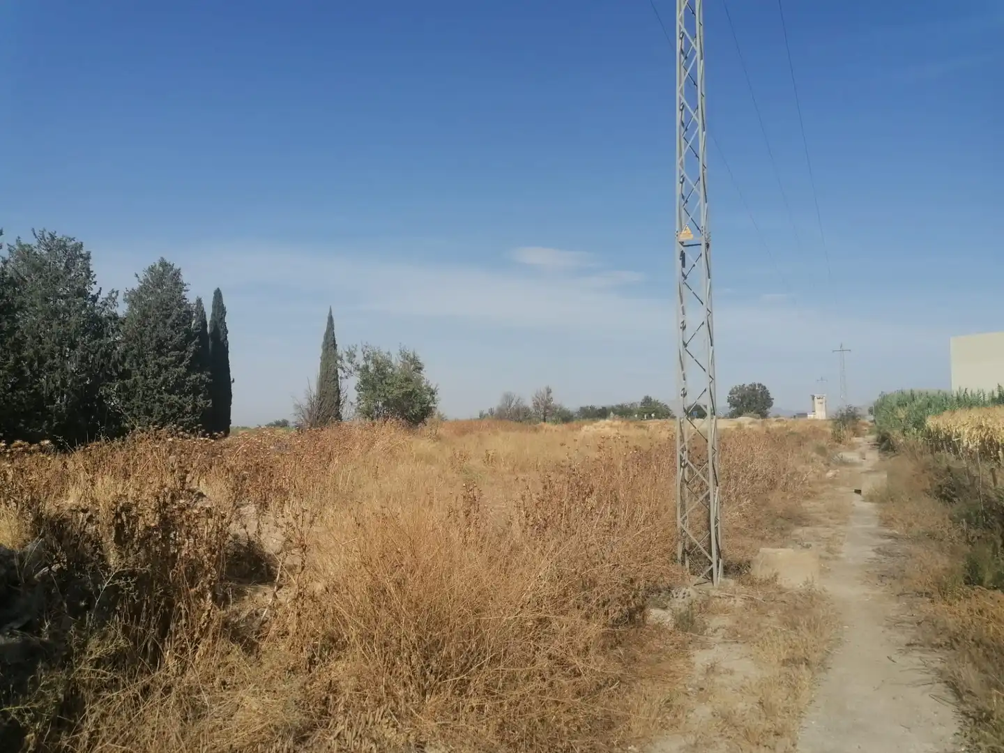 Terreny rústic en venda a Ronda, imagen 13