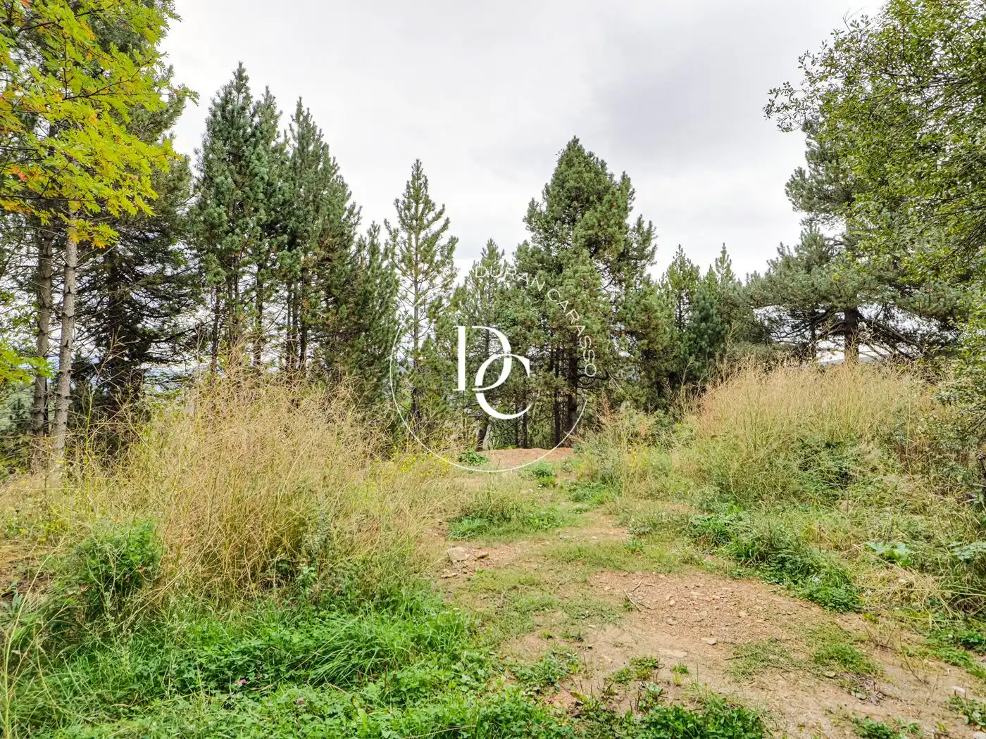 Residential for sale in Alp