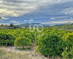 Residencial en venda en Llanera de Ranes