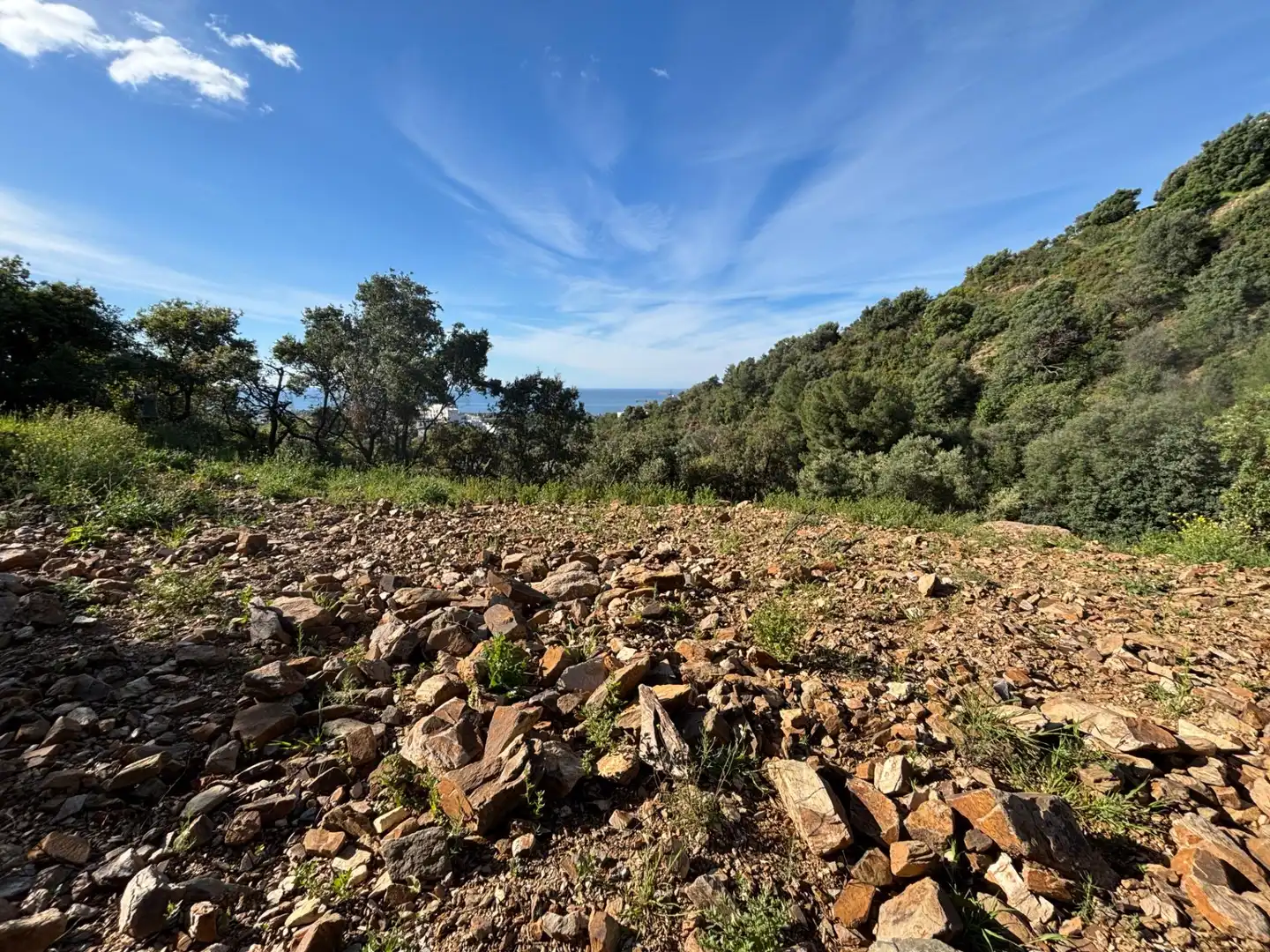 Terreni e lotti in vendita a Río Real - Los Monteros, imagen 11