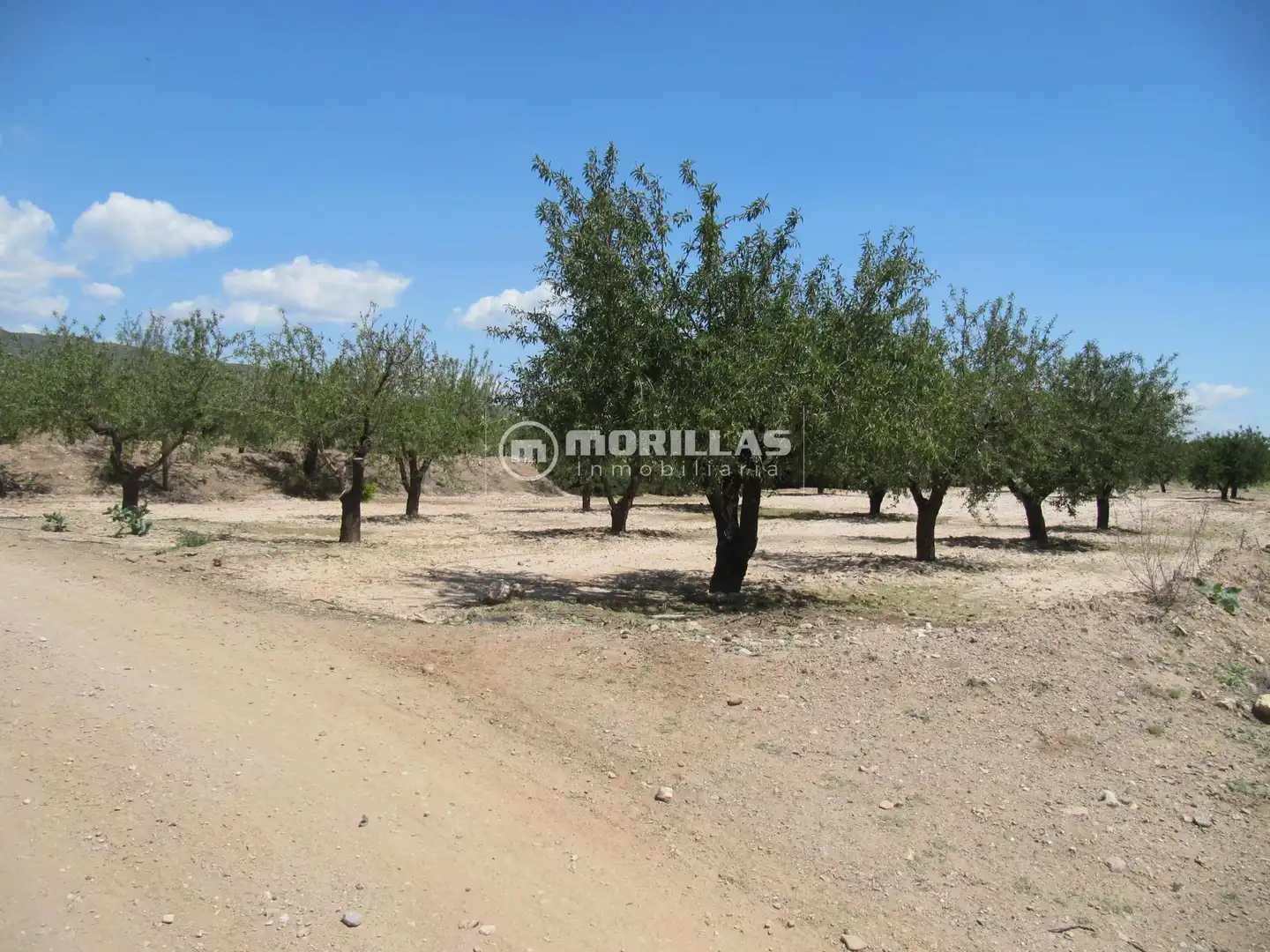 Terreny rústic en venda a Puerto Lumbreras, imagen 6