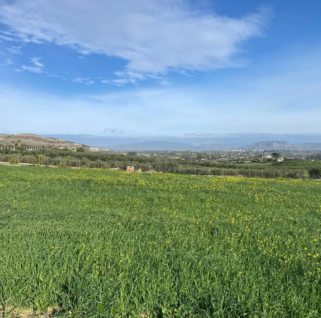 Rural land for sale in La Rosa, imagen 6