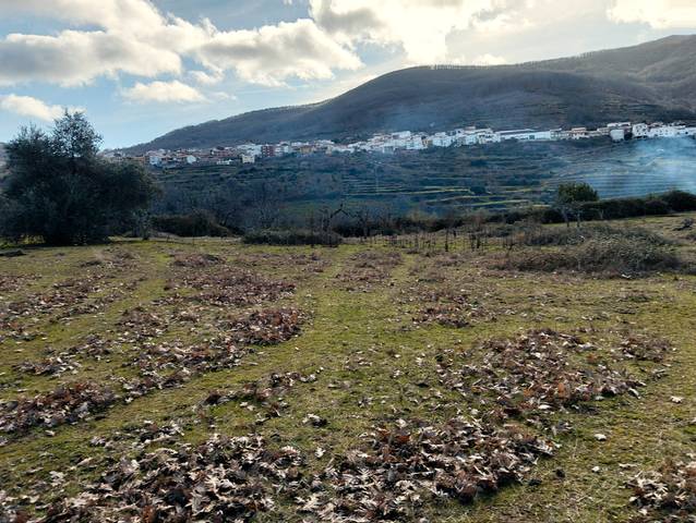 Terreno en Venta en N/A, -1 en Casas del Castañar