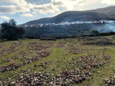 Terreno rústico en venta en Casas del Castañar