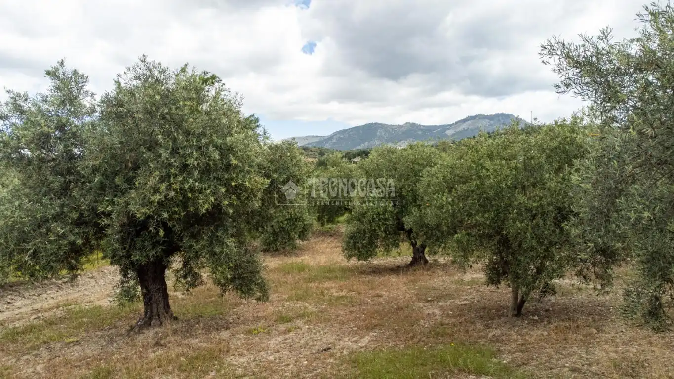 Terreni e lotti in vendita a Albaicín, imagen 17