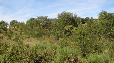 Suelo urbano residencial en Béjar Salamanca  Sin comisión para el comprador, imatge 3