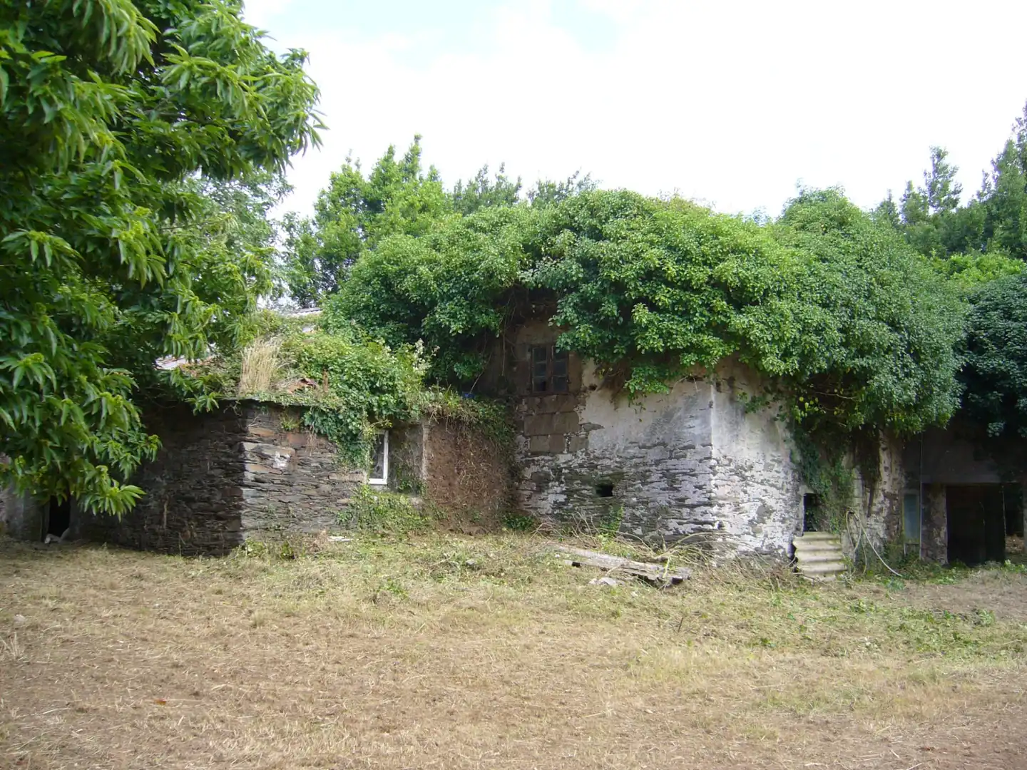 Vista exterior de Finca rústica en venta en Valdoviño