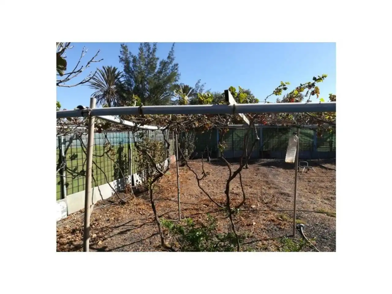 Houses for sale in Gran Tarajal, Tesejerague