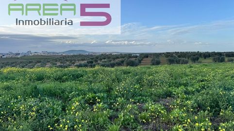 Suelo Rústico Edificable de 5 Hectáreas Zona Salesianos Mérida – A solo 6 minutos de Mérida, immagine 2