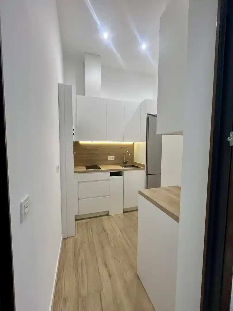 Kitchen of Flat for rent in Centro