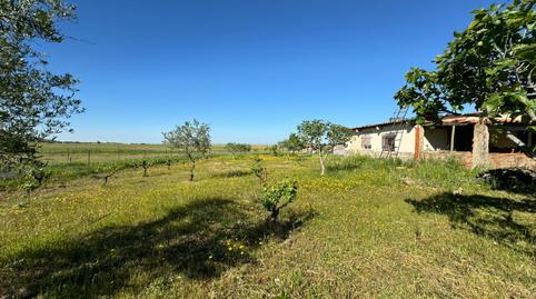 Foto 5 de Finca rústica en venda a N/a, -1, Valdesalor - Rincón de Ballesteros, Cáceres