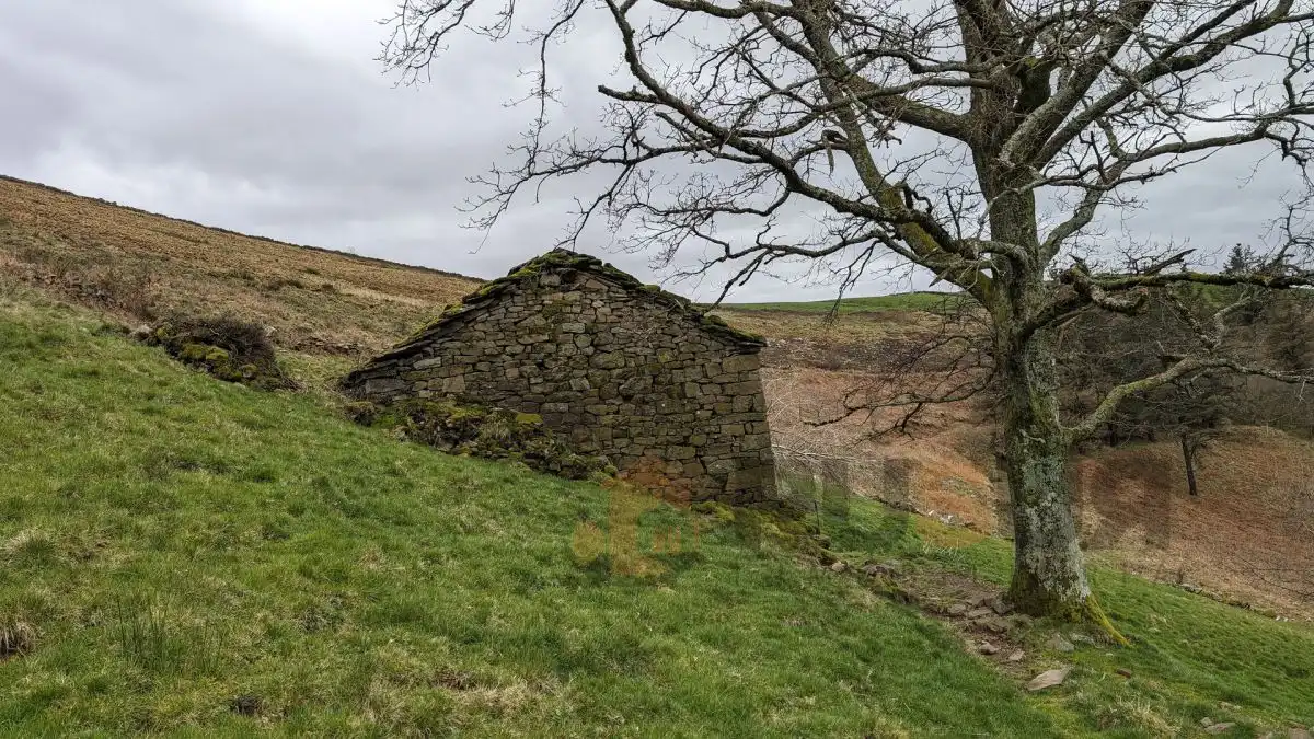 Vista exterior de Finca rústica en venta en Selaya