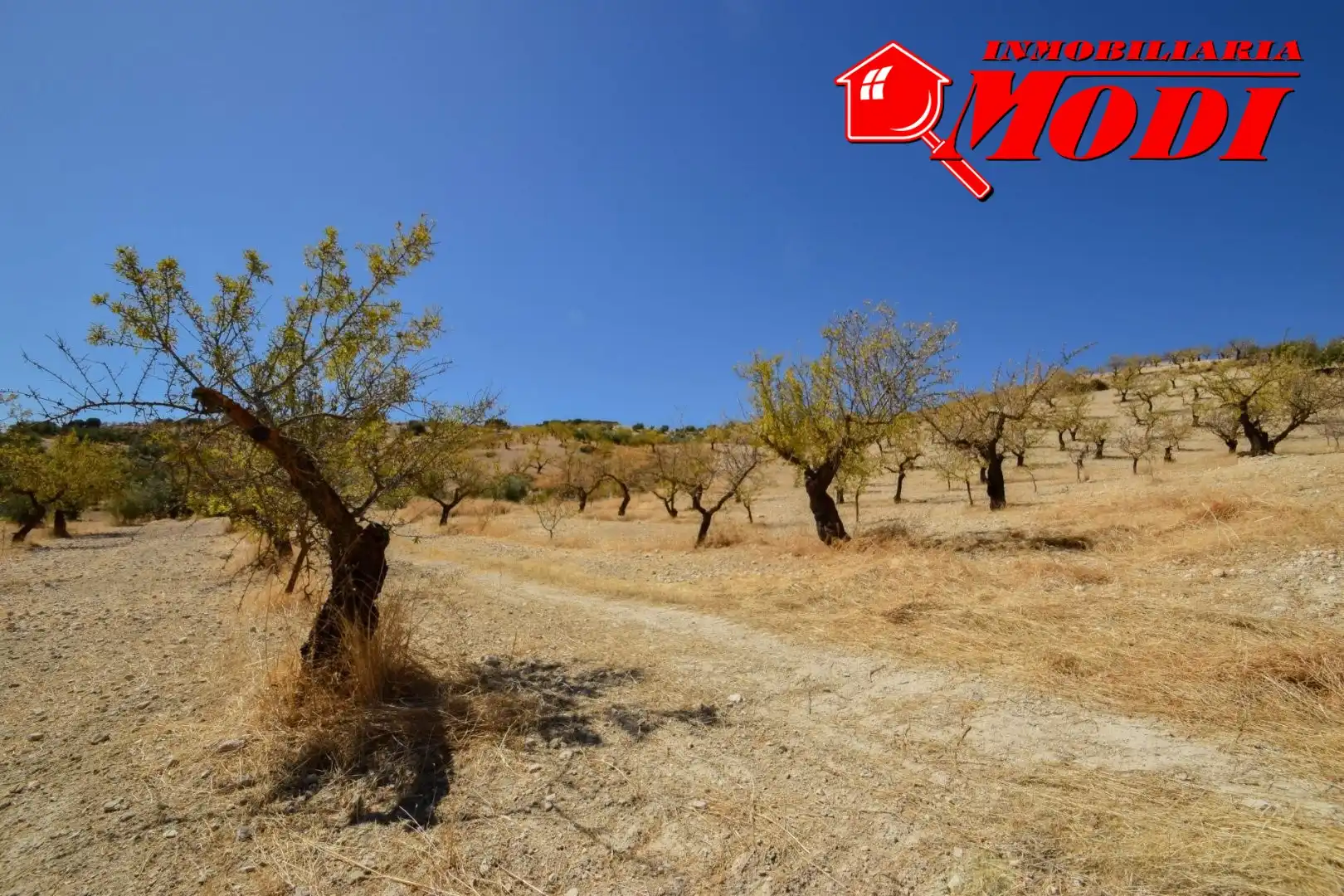 Finca rústica en venda en Cacín amb Jardí privat