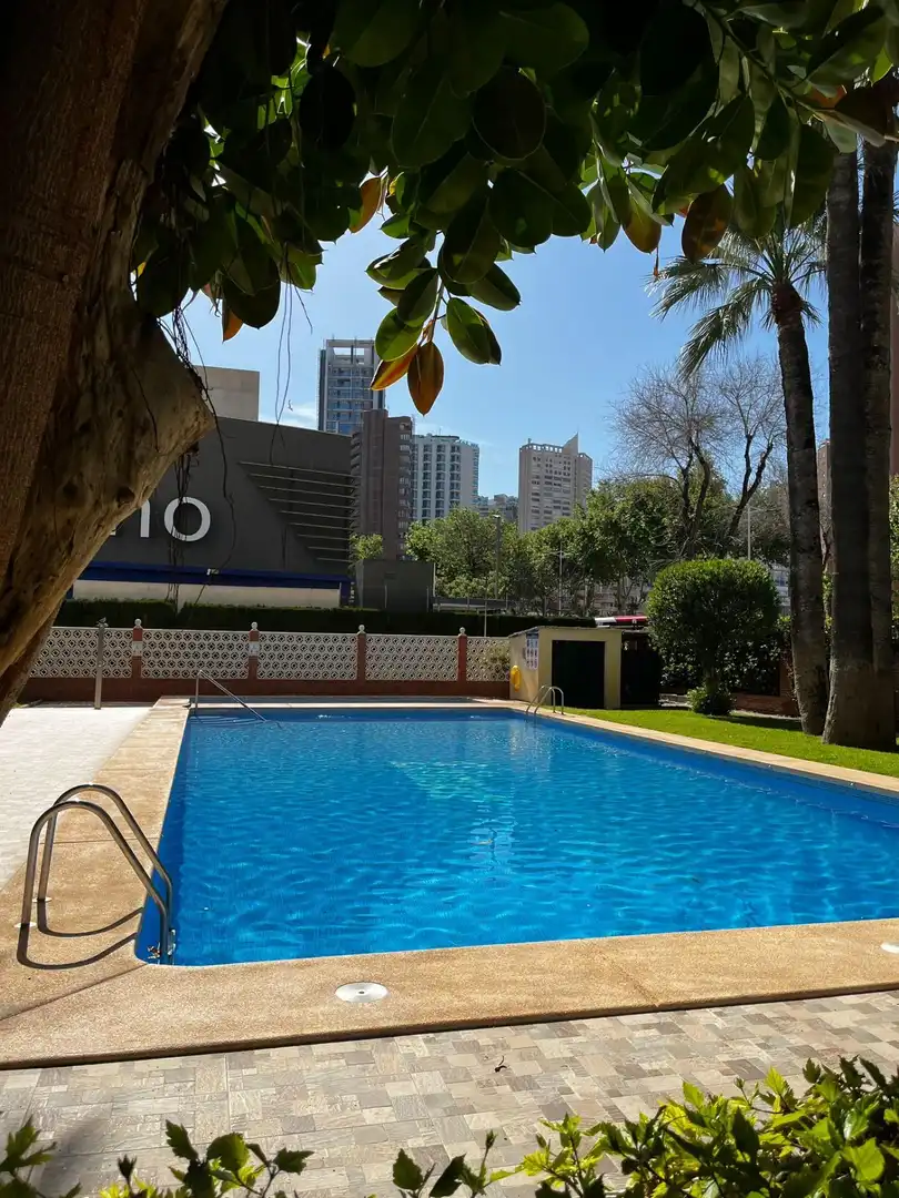 Piso con piscina en venta en Avenida MEDITERRANEO DEL, imagen 6