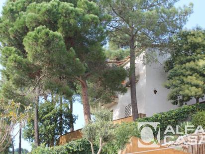 Jardí de Casa o xalet en venda en Lloret de Mar amb Calefacció, Terrassa i Moblat